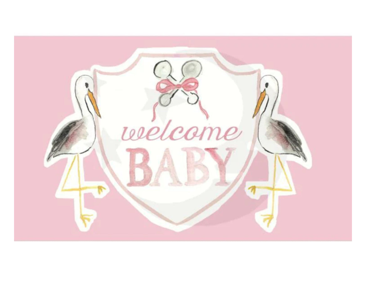 Over The Moon- “Welcome Baby” Pink Stork Flag 3’x5’