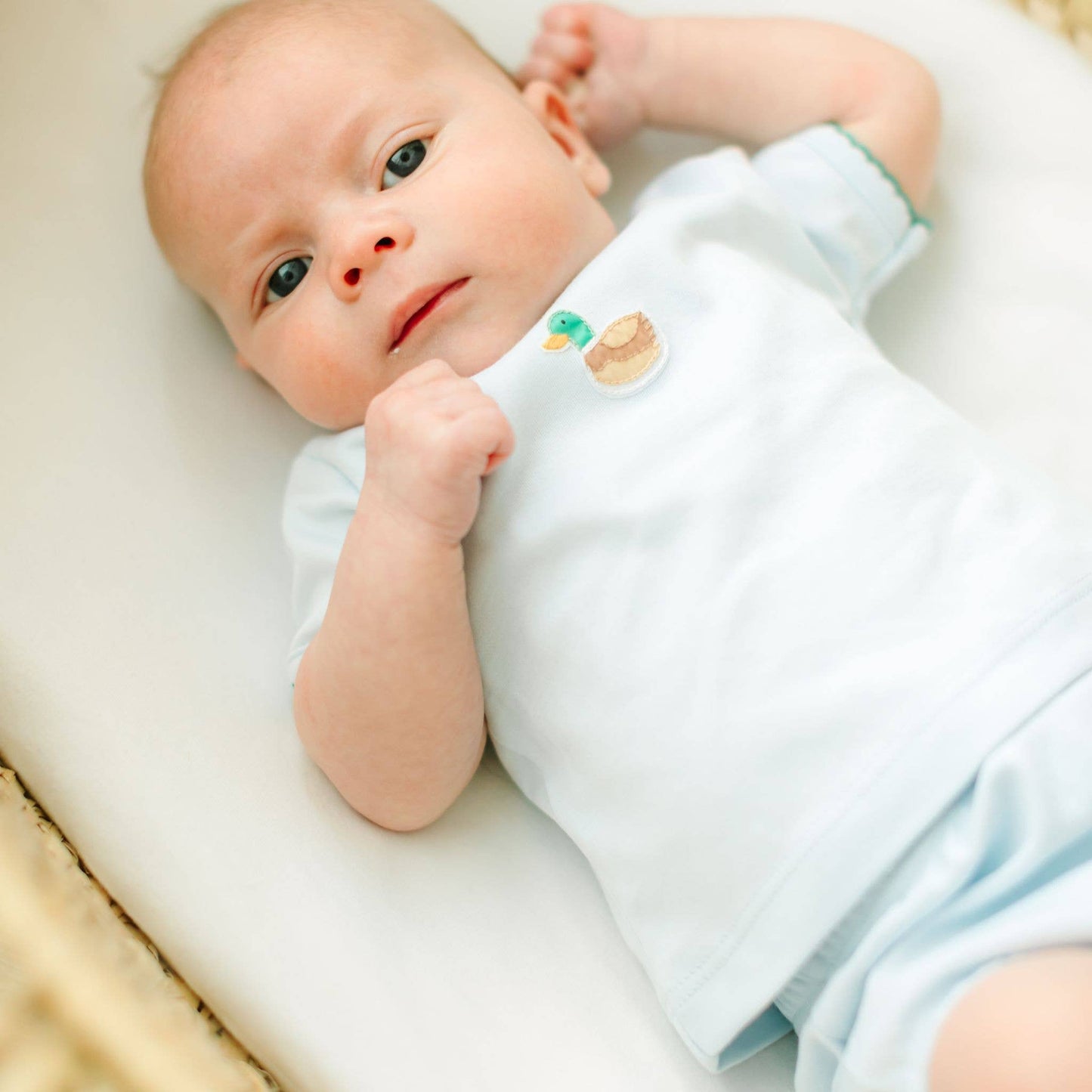 Magnolia Baby - Mini Mallard Embroidered Diaper Cover Set - Light Blue