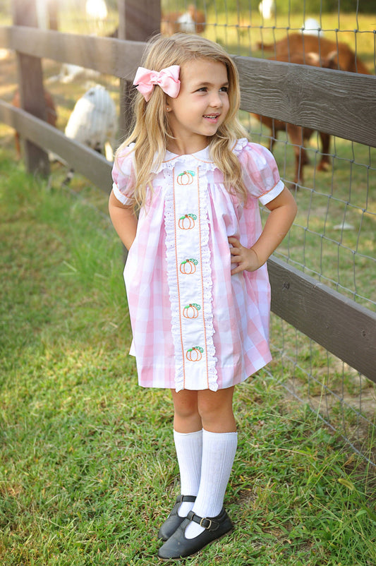 Posh Pickle - Proper Pumpkins Pink Gingham A-Line Dress