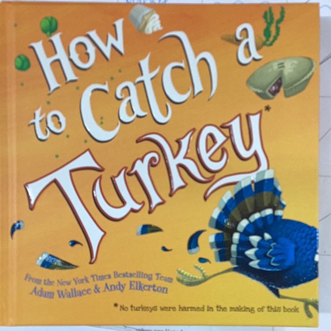 Sourcebooks- How to Catch a Turkey