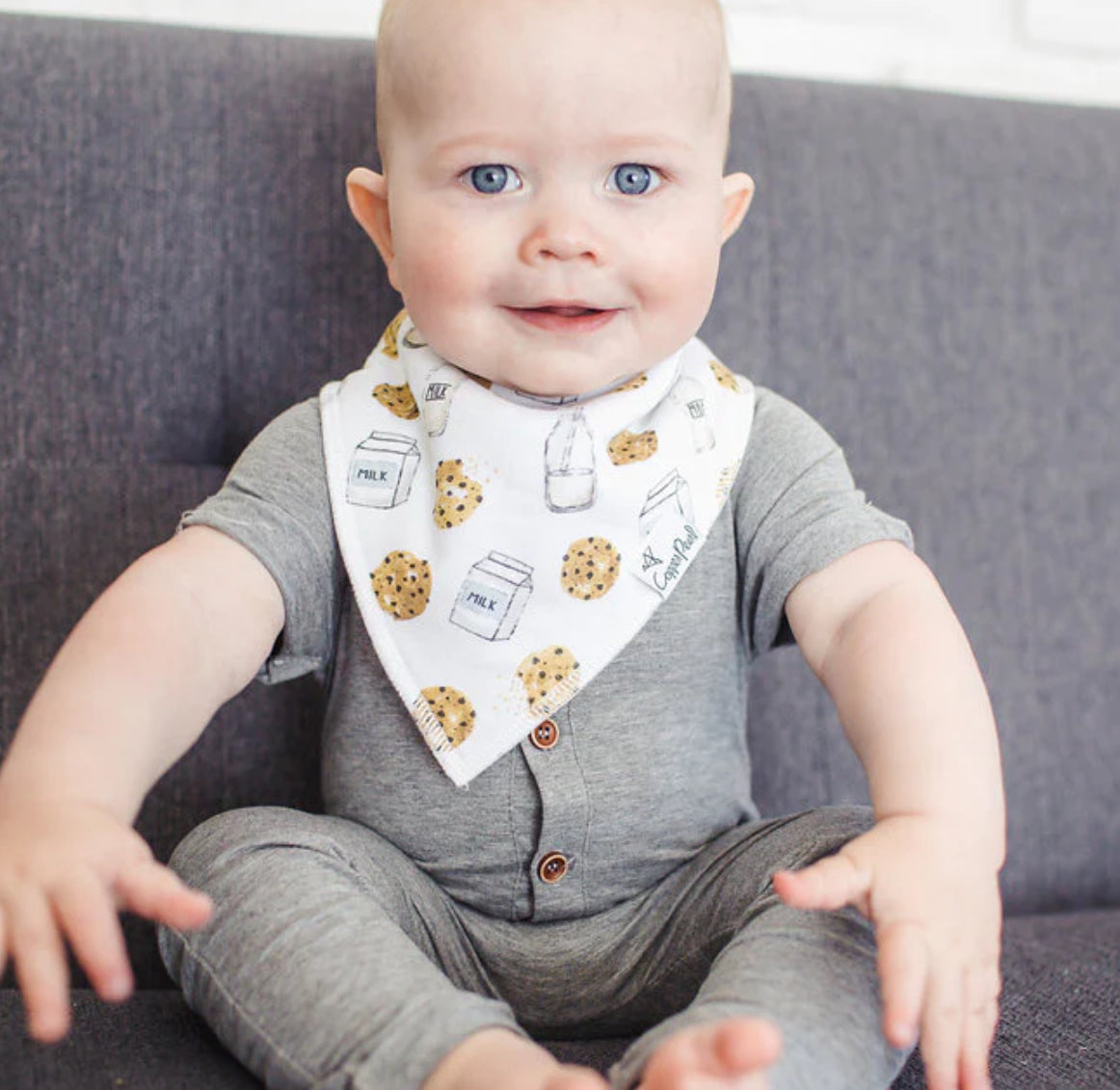 Copper Pearl- Bandana Bibs-Chip