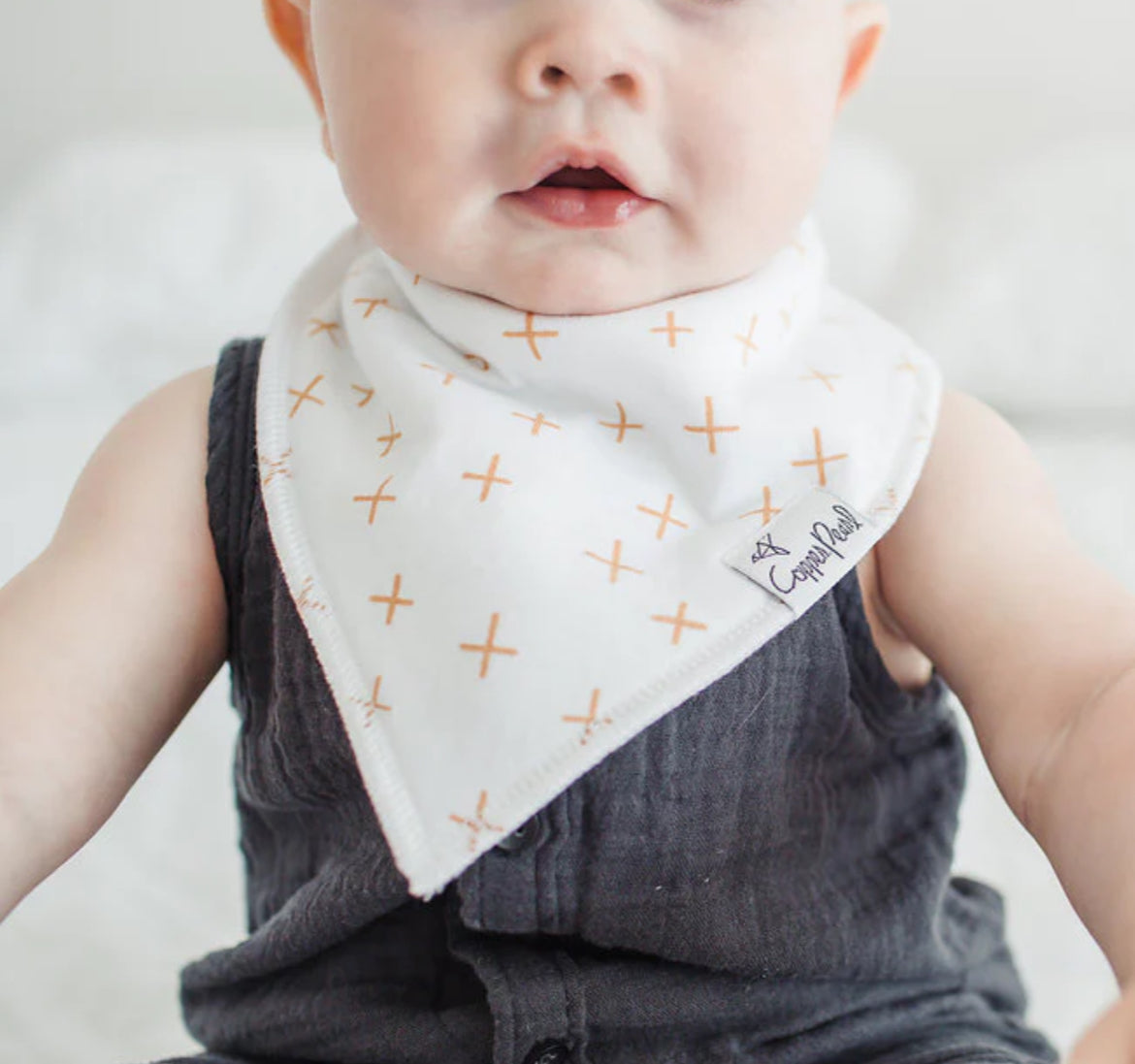 Copper Pearl- Bandana Bibs-Chip