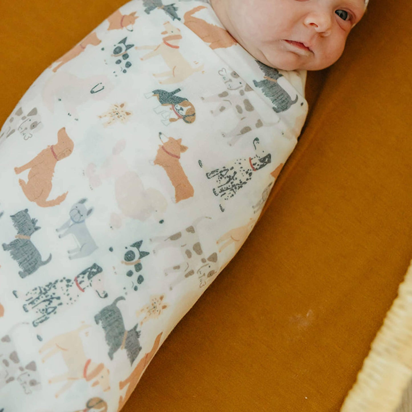 Copper Pearl - Knit Swaddle Blanket - Rufus