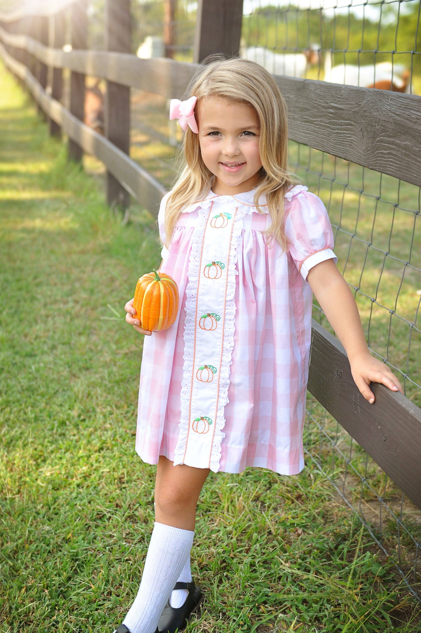 Posh Pickle - Proper Pumpkins Pink Gingham A-Line Dress